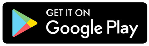 Google Store